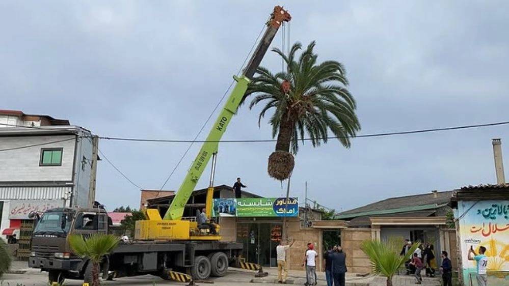 جرثقیل افسری جرثقیل افسری